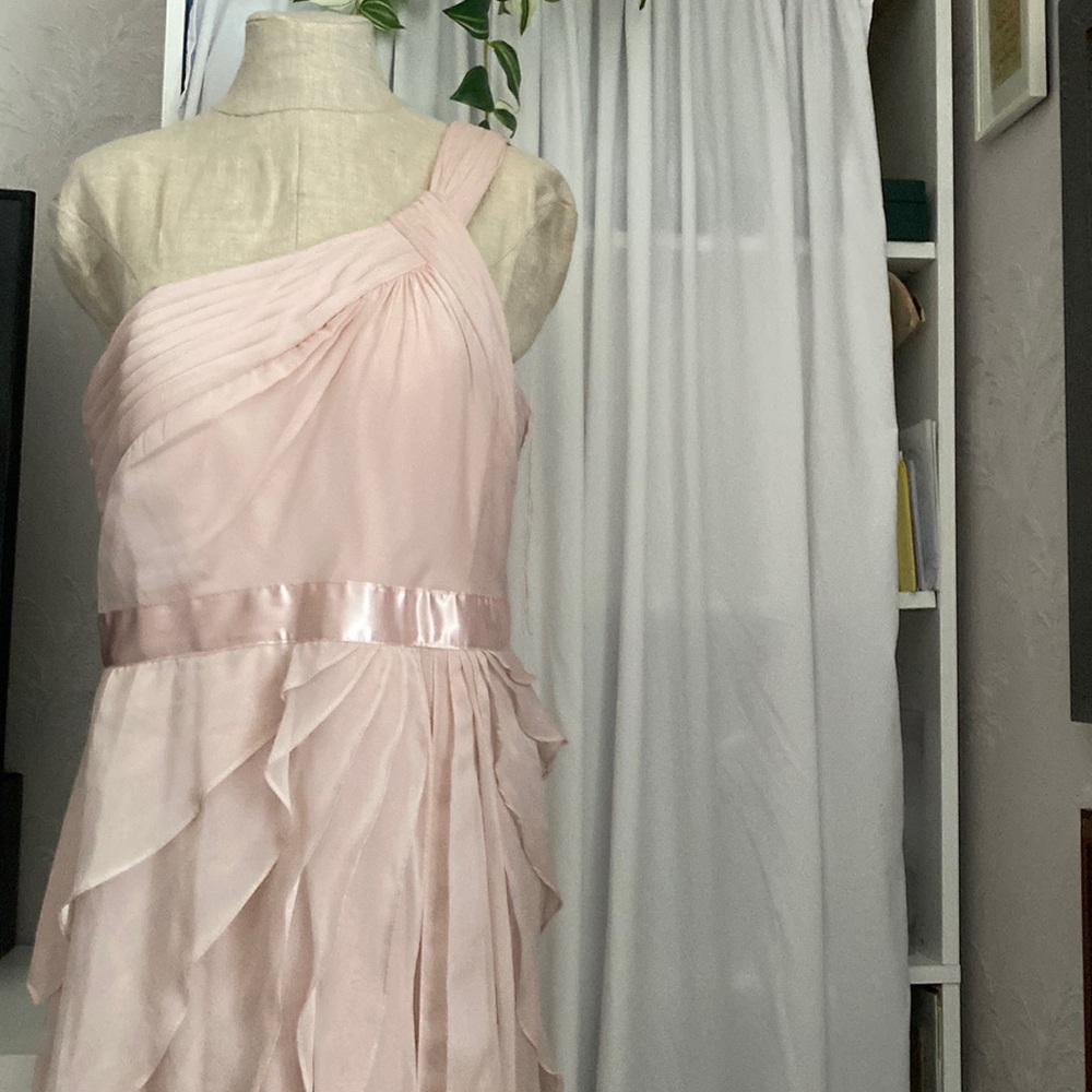 Adrianna Papell Maxi chiffon blush gown